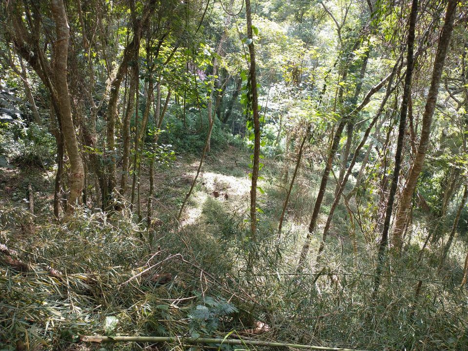 Foto - Petrópolis - Correas